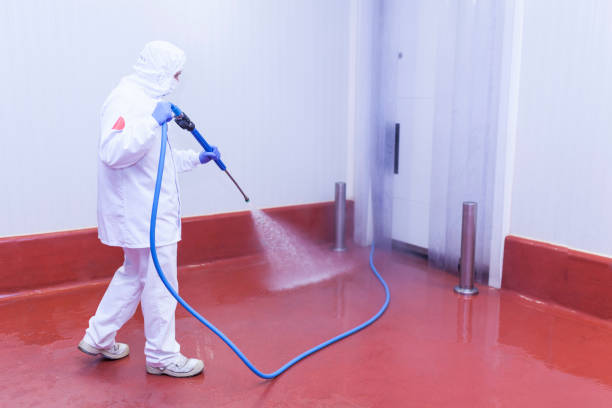 Best Pre-Holiday Cleaning  in Bayport, MN